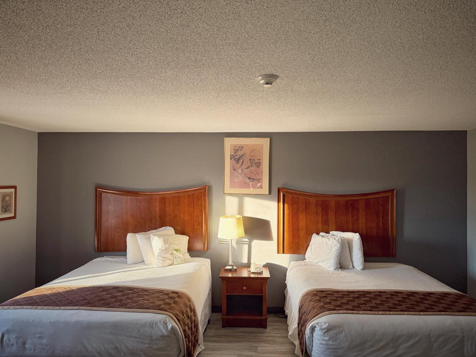 Lake Tree Inn & Suites Marion Exteriér fotografie